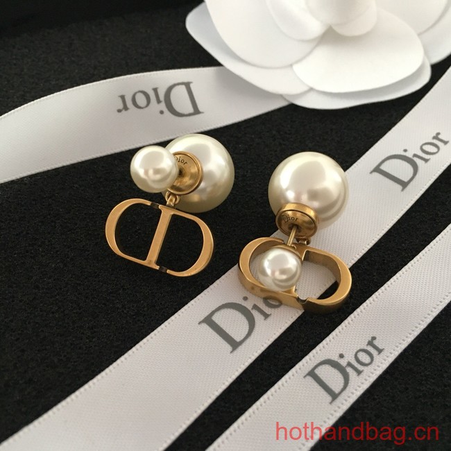 Dior Earrings CE13294