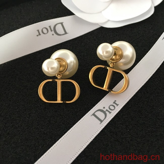Dior Earrings CE13294