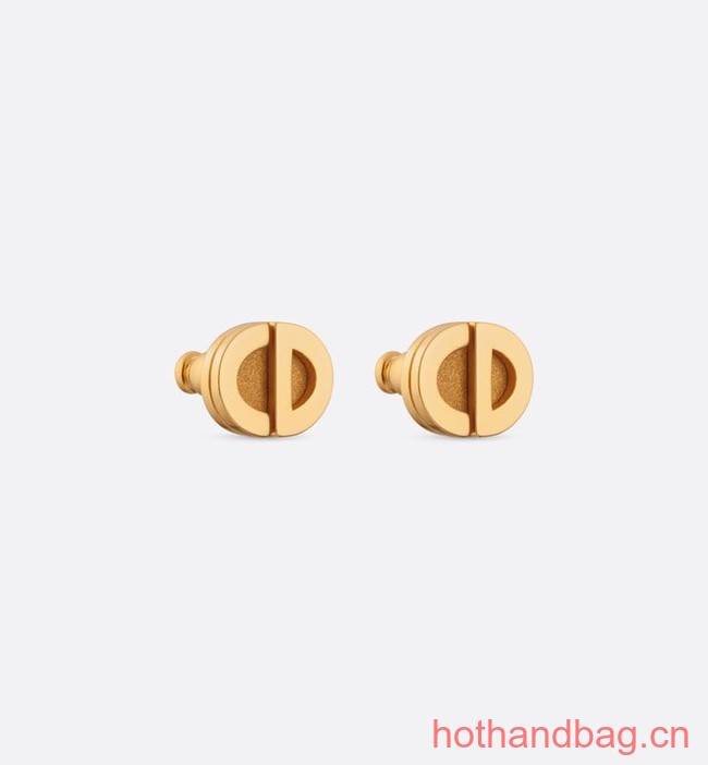 Dior Earrings CE13301