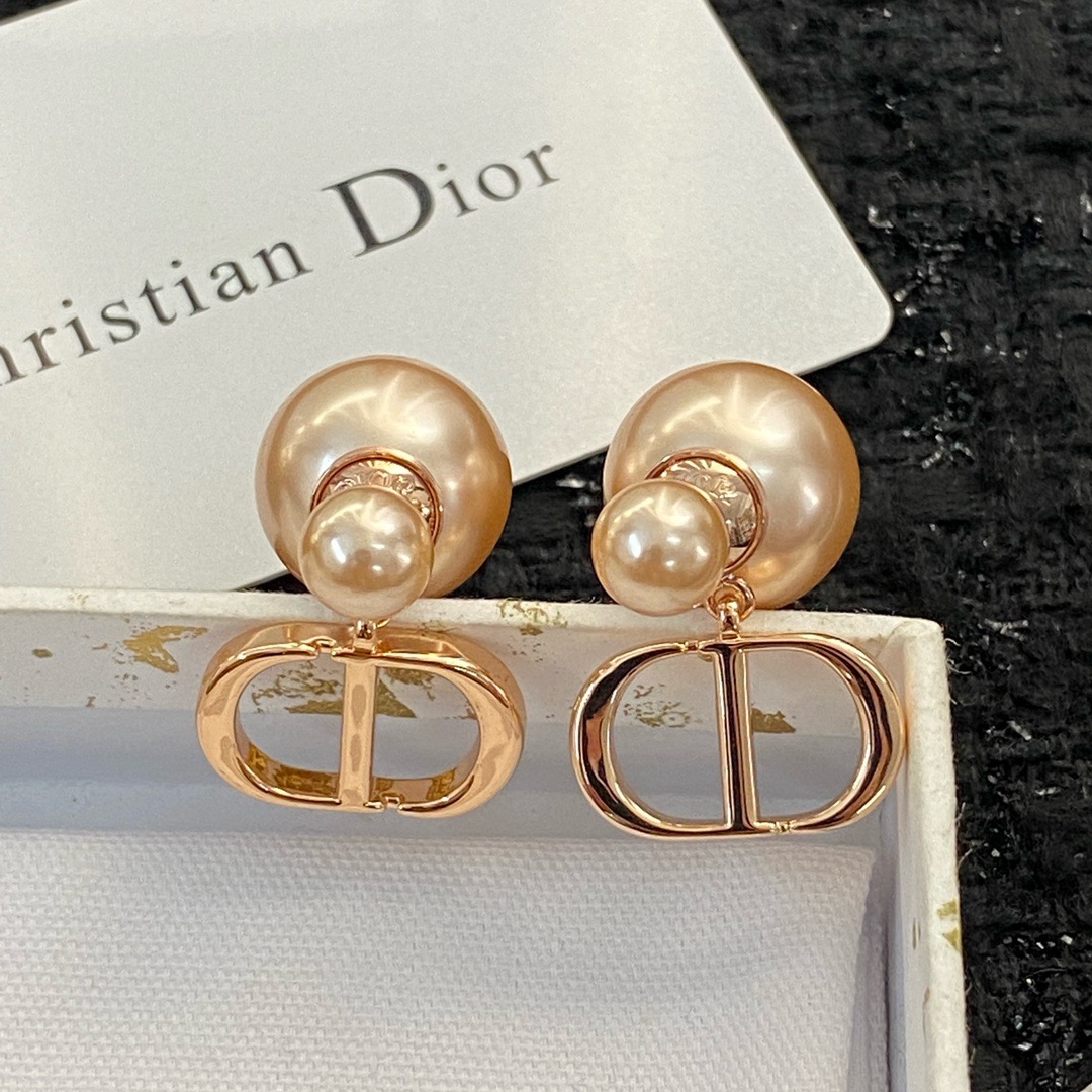 Dior Earrings CE13325