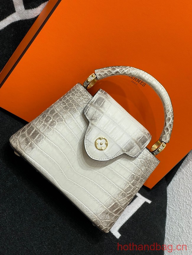 Louis Vuitton Capucines MM N93419 gray&white