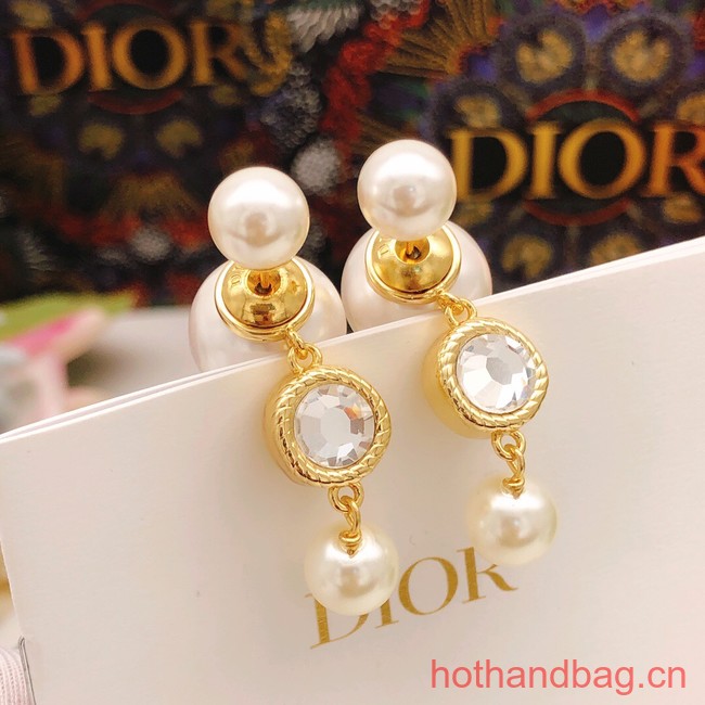 Dior Earrings CE13379