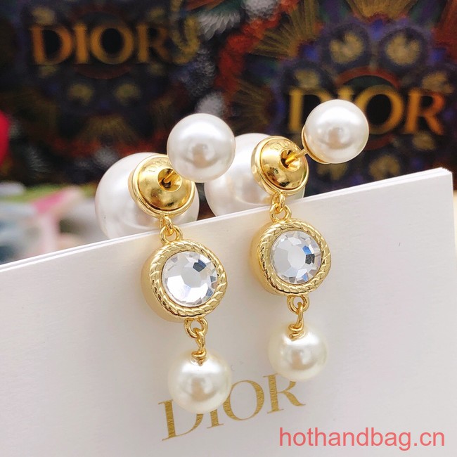 Dior Earrings CE13379