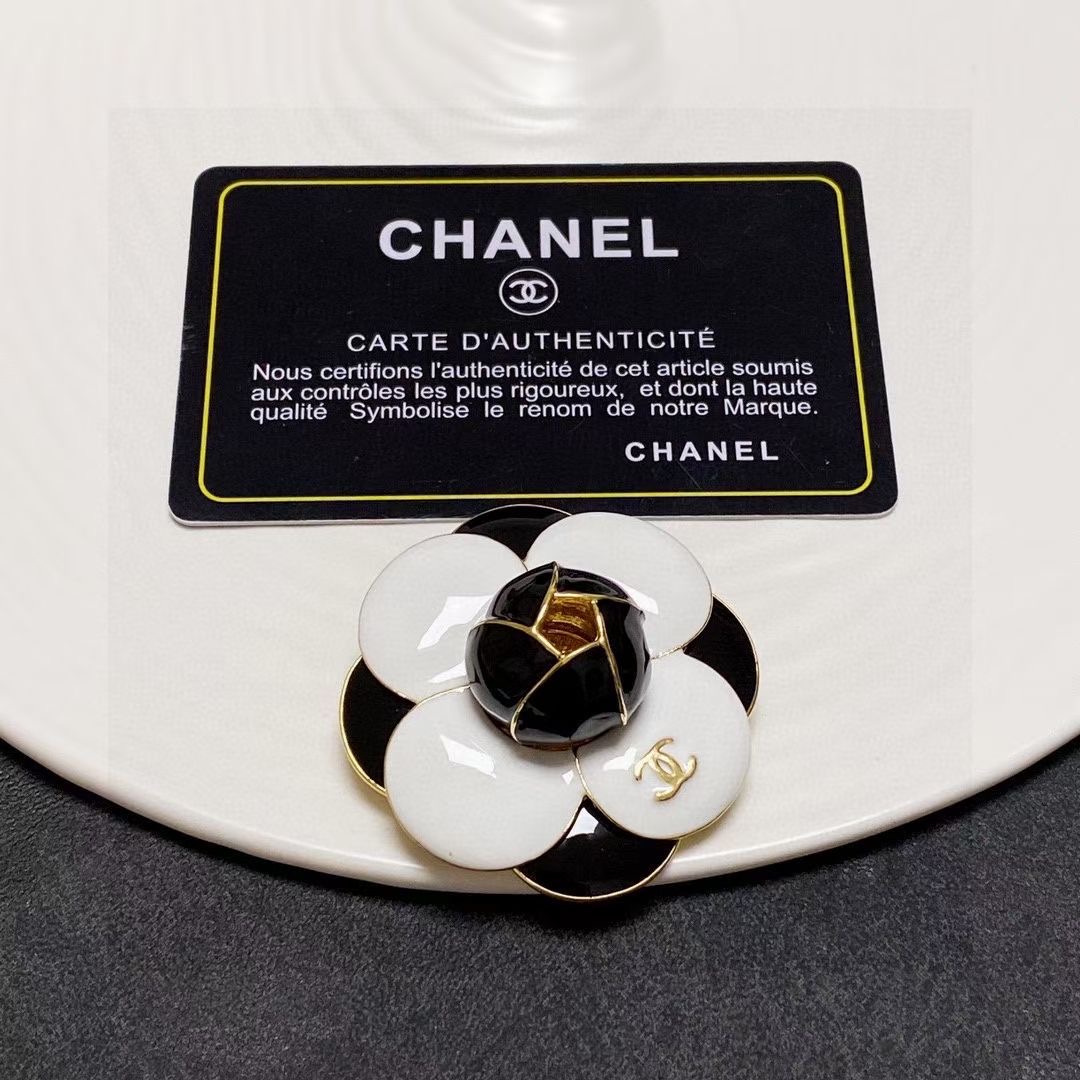 Chanel Brooch CE13420