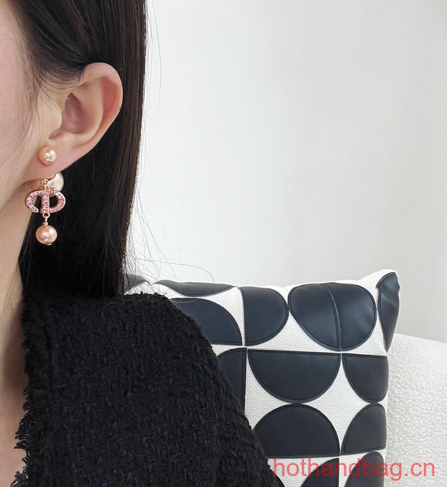 Dior Earrings CE13464
