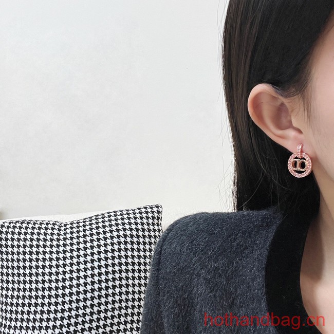 Dior Earrings CE13465