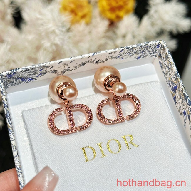 Dior Earrings CE13481