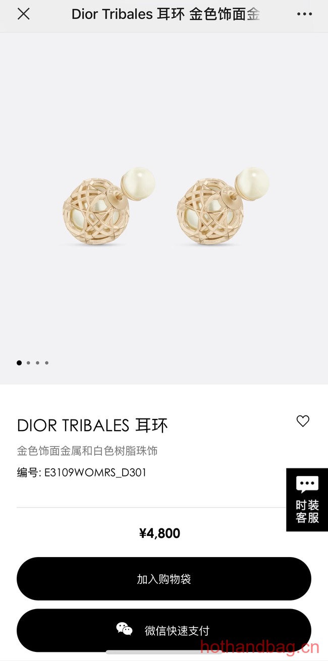 Dior Earrings CE13482