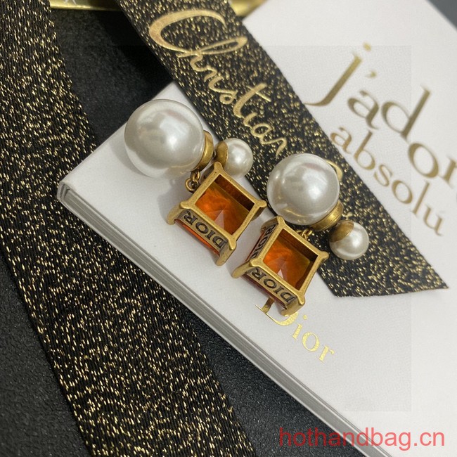 Dior Earrings CE13573