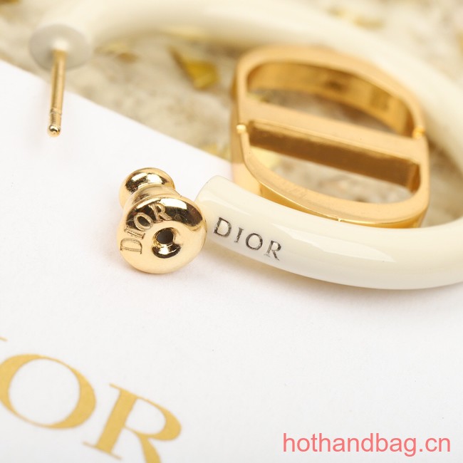 Dior Earrings CE13593