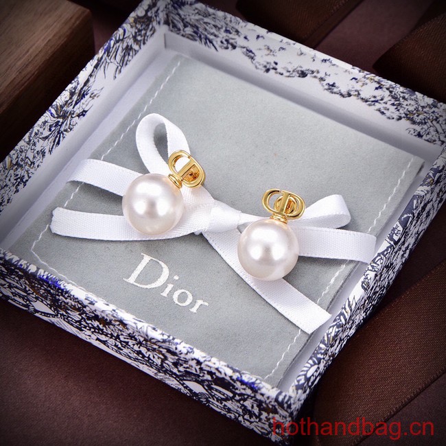 Dior Earrings CE13626