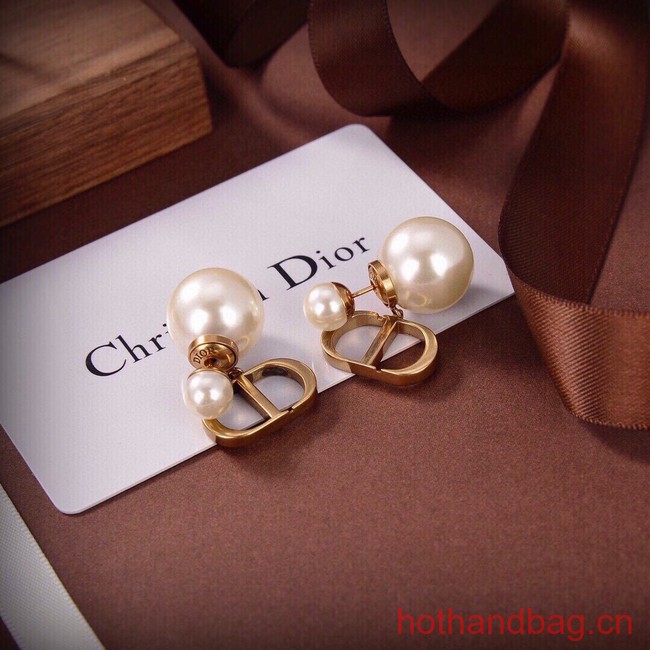 Dior Earrings CE13627