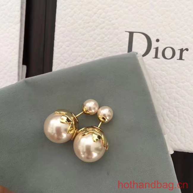 Dior Earrings CE13641