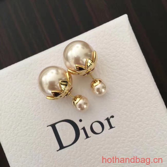Dior Earrings CE13641