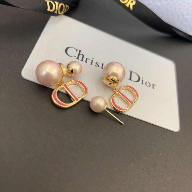 Dior Earrings CE13650