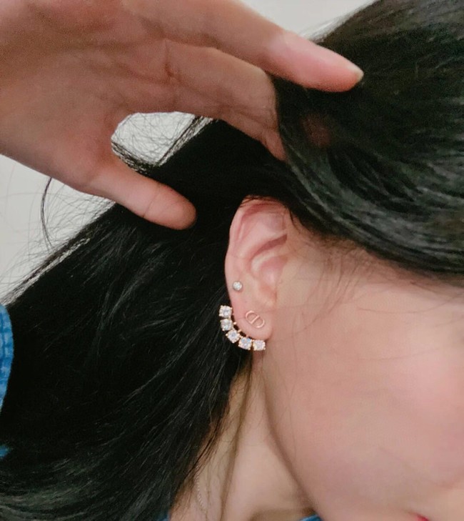 Dior Earrings CE13652