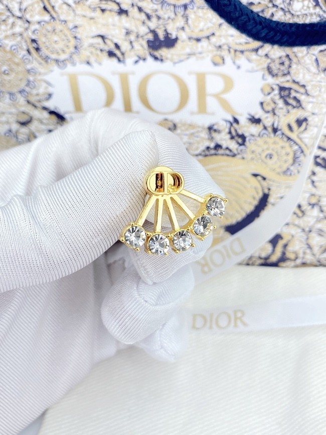 Dior Earrings CE13652