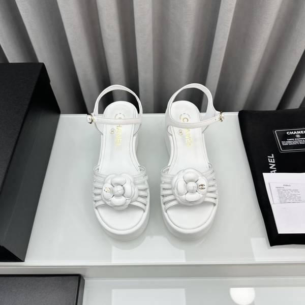 Chanel Shoes CHS02253