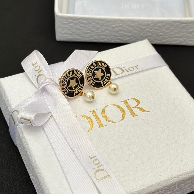 Dior Earrings CE13760