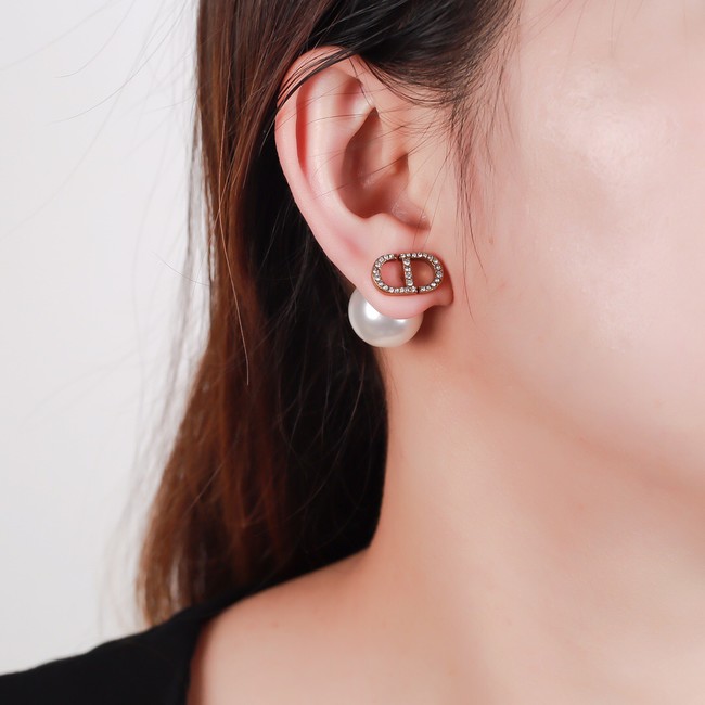 Dior Earrings CE13792