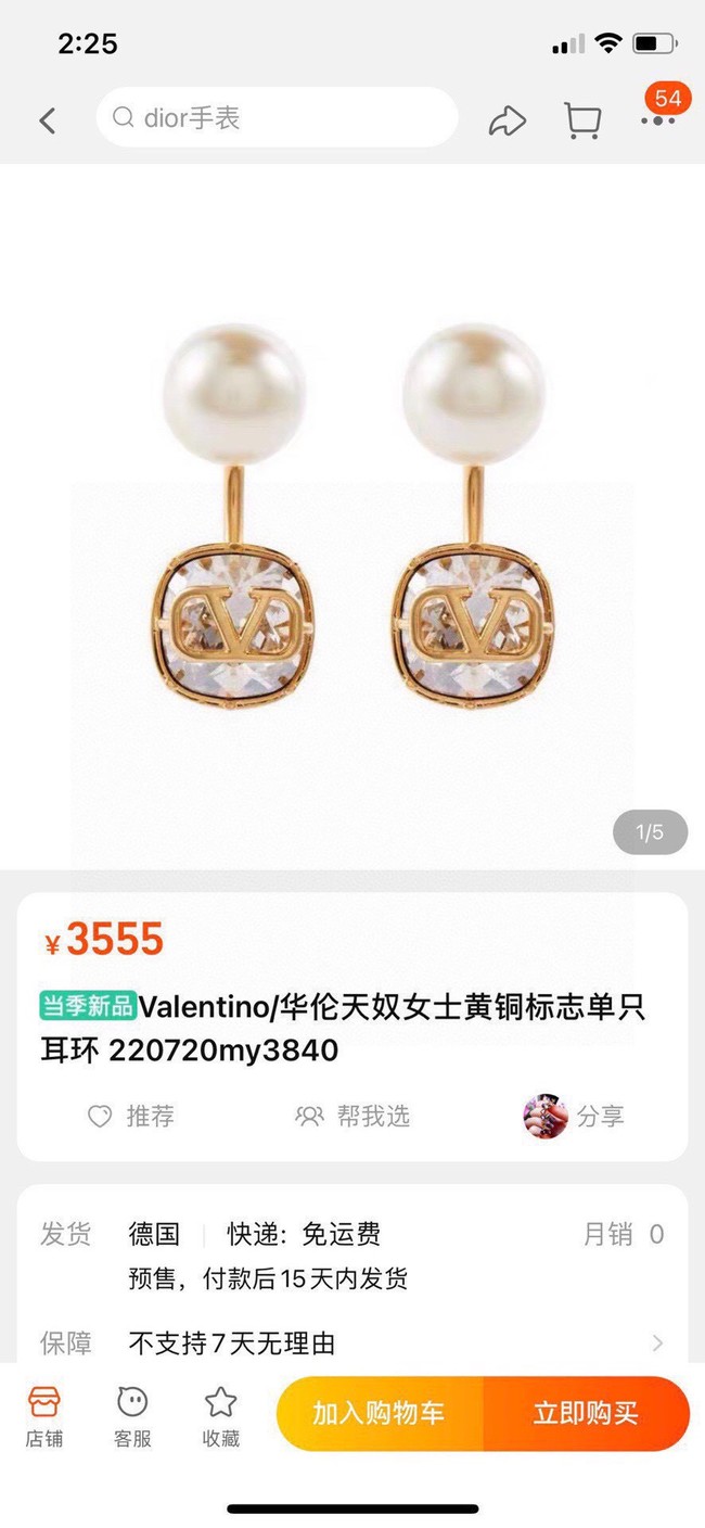 Valentino Earrings CE13800