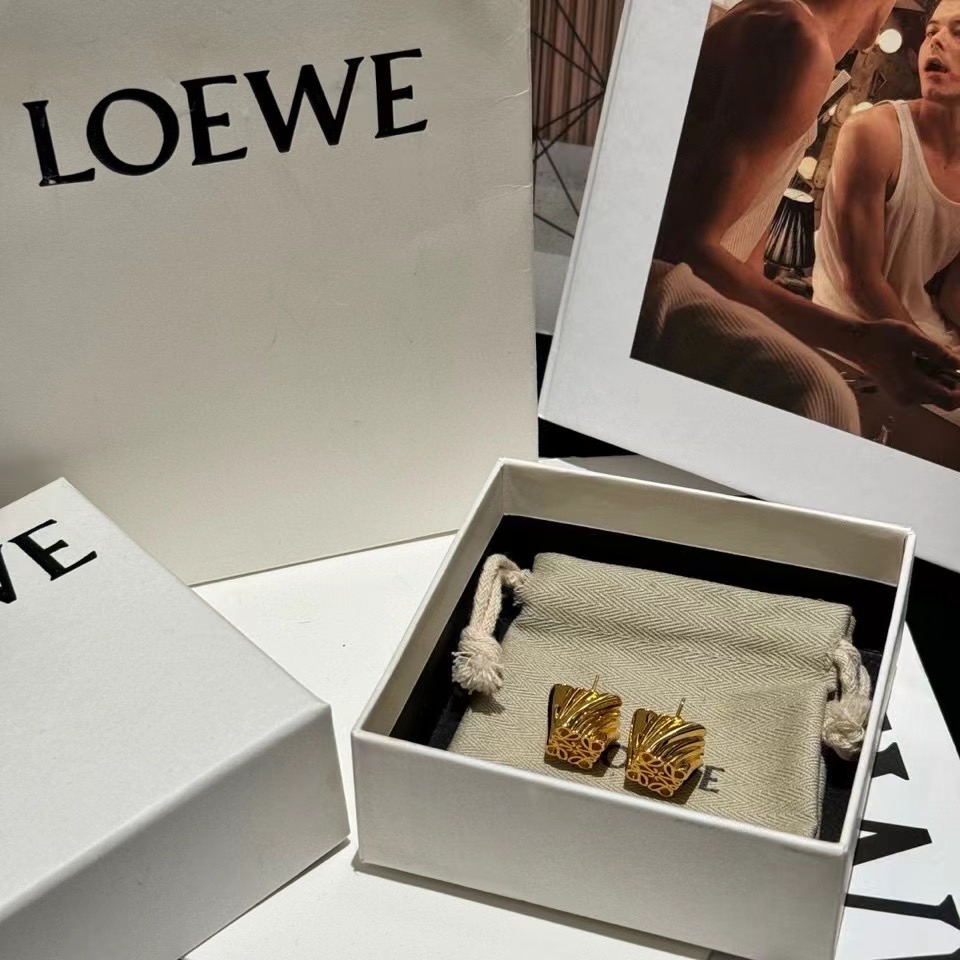 Loewe Earrings CE13828