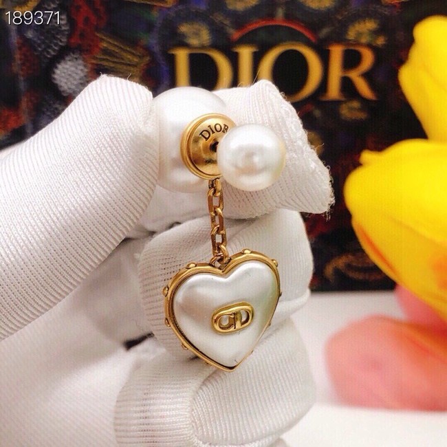 Dior Earrings CE13864