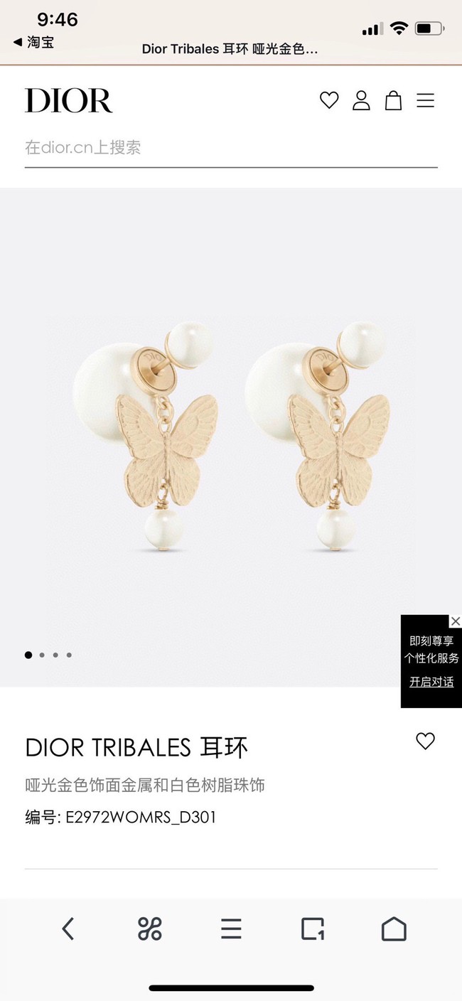 Dior Earrings CE13868