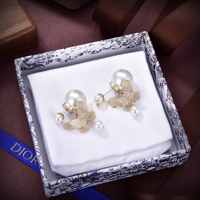 Dior Earrings CE13868