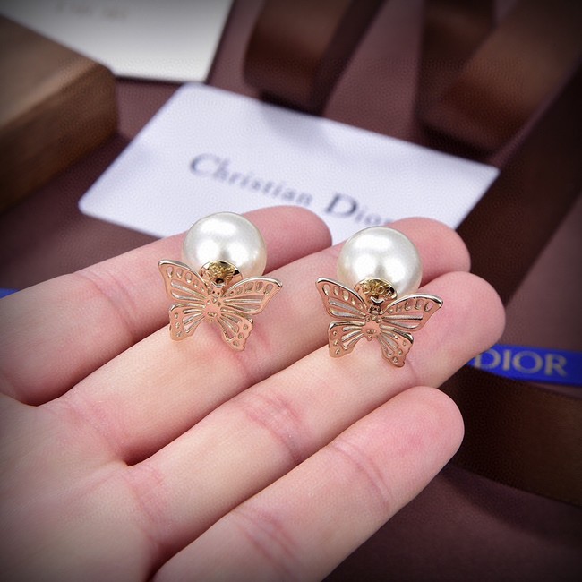 Dior Earrings CE13869