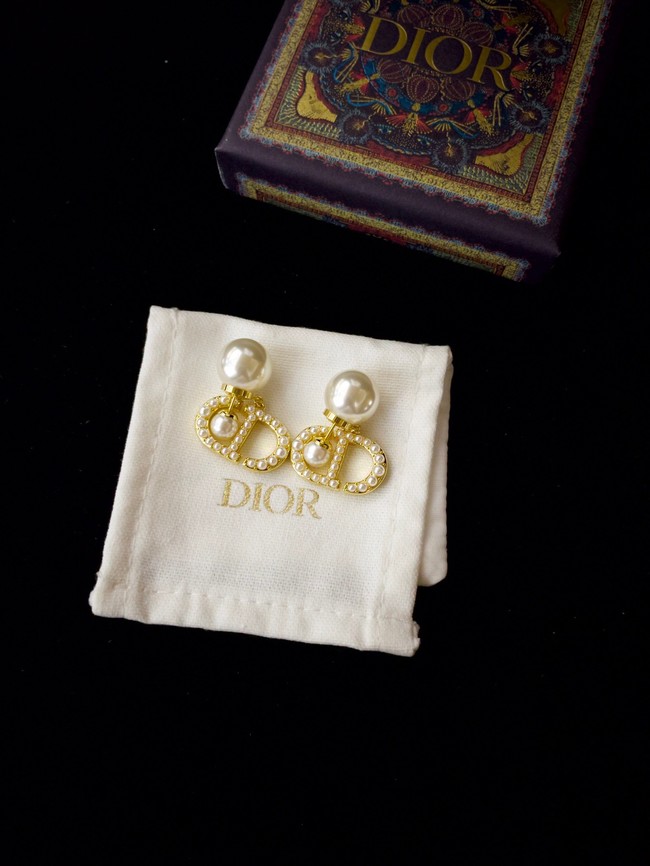 Dior Earrings CE13885