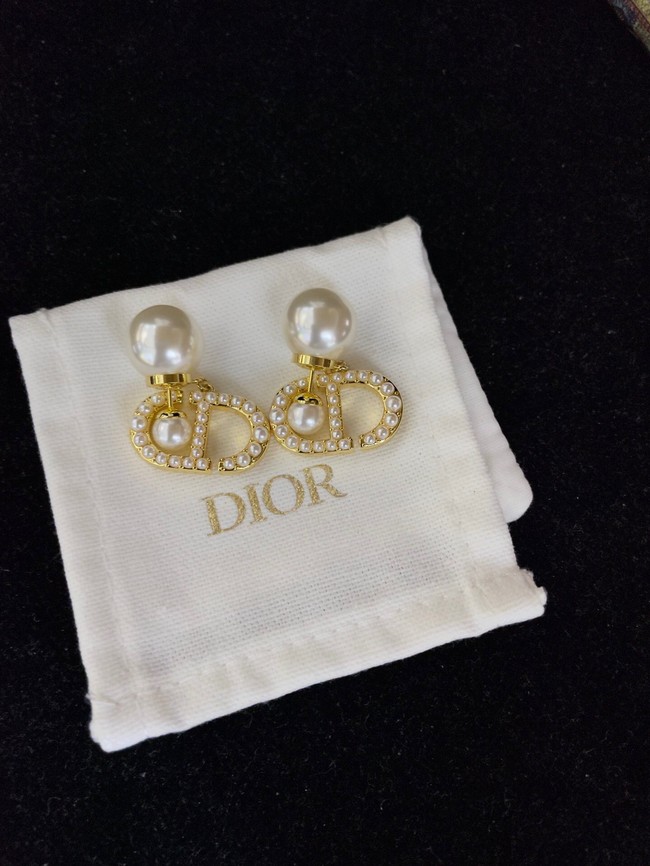 Dior Earrings CE13885