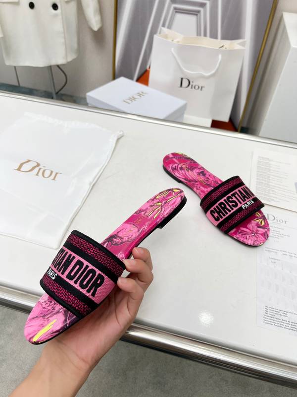 Dior Shoes DIS00523