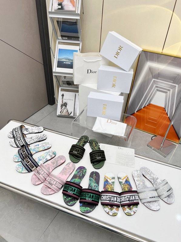 Dior Shoes DIS00526