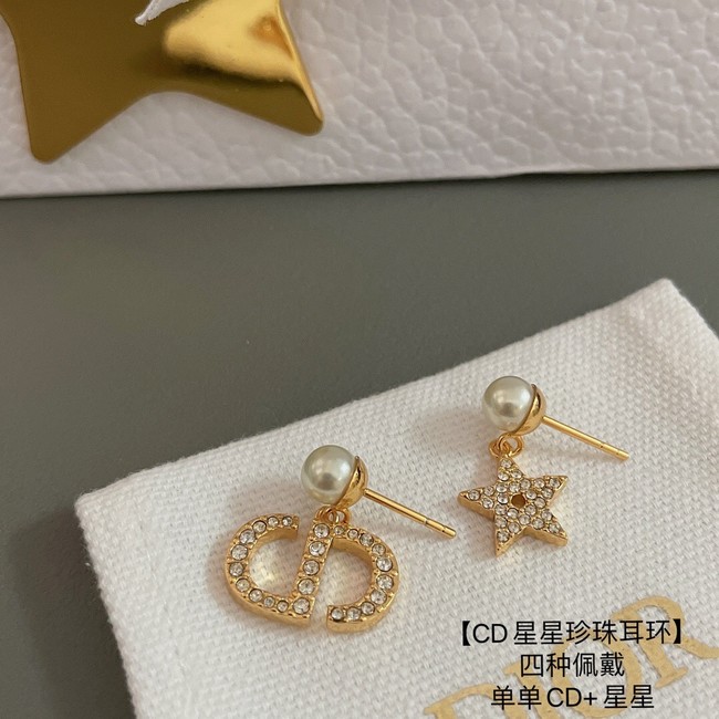 Dior Earrings CE13886