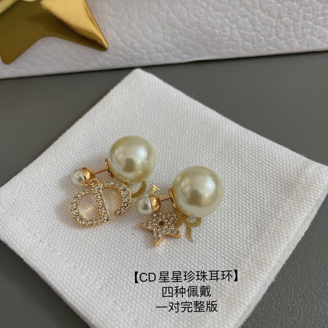Dior Earrings CE13886