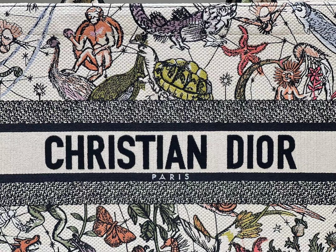Medium Dior Book Tote Embroidery M1296ZESJ