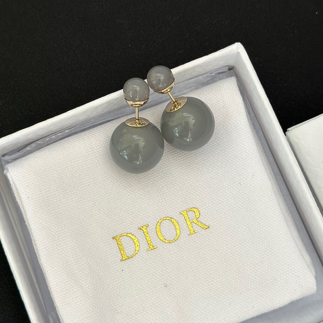 Dior Earrings CE13969
