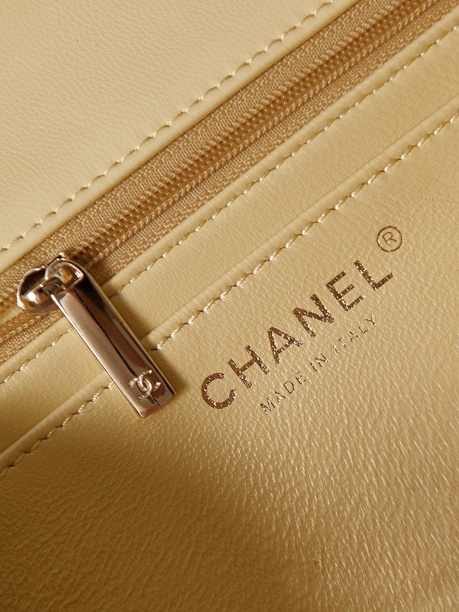 Chanel MINI FLAP BAG WITH TOP HANDLE AS4024 Beige