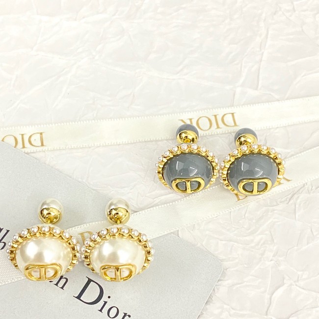 Dior Earrings CE14057
