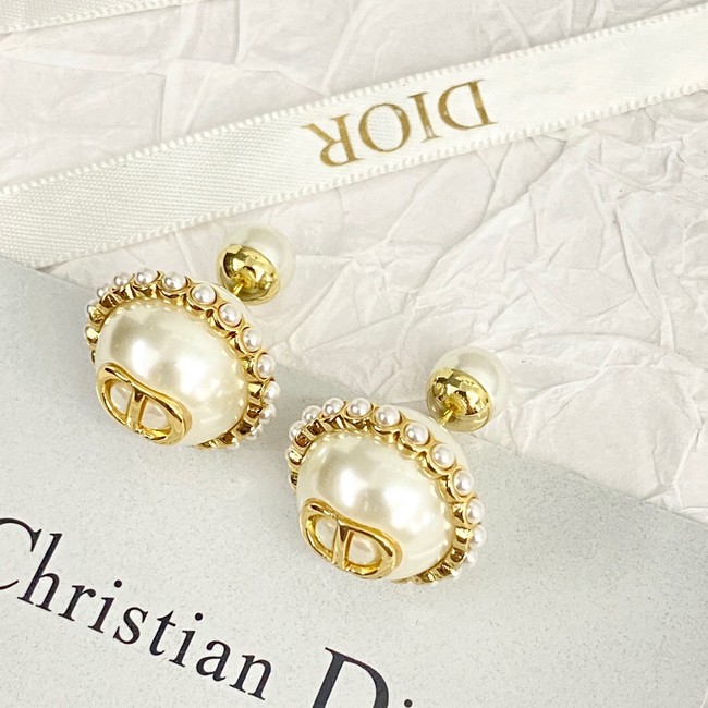 Dior Earrings CE14058