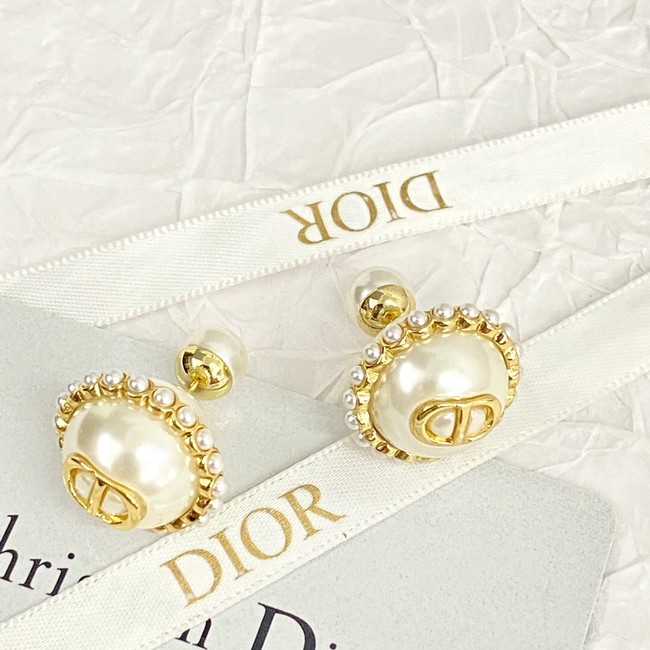 Dior Earrings CE14058