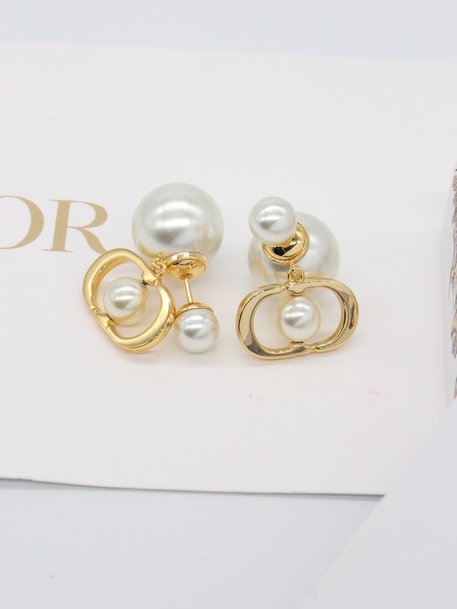 Dior Earrings CE14061