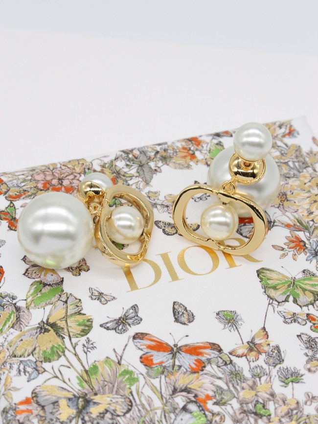 Dior Earrings CE14061