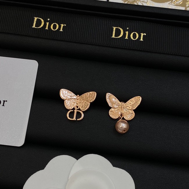 Dior Earrings CE14062