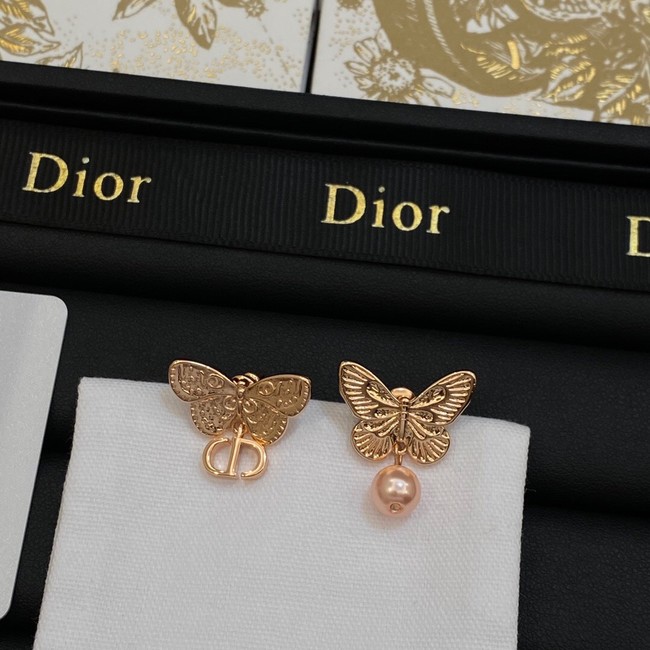 Dior Earrings CE14062