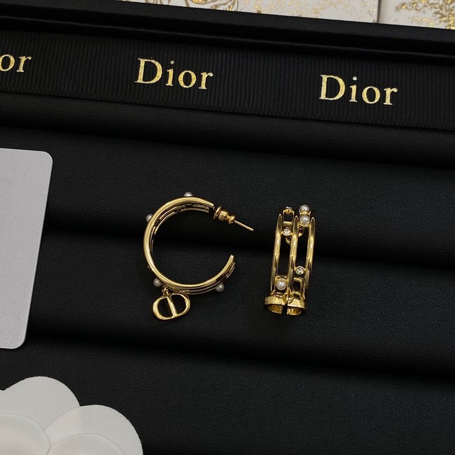 Dior Earrings CE14063