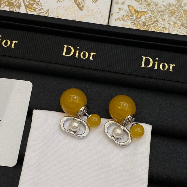 Dior Earrings CE14064