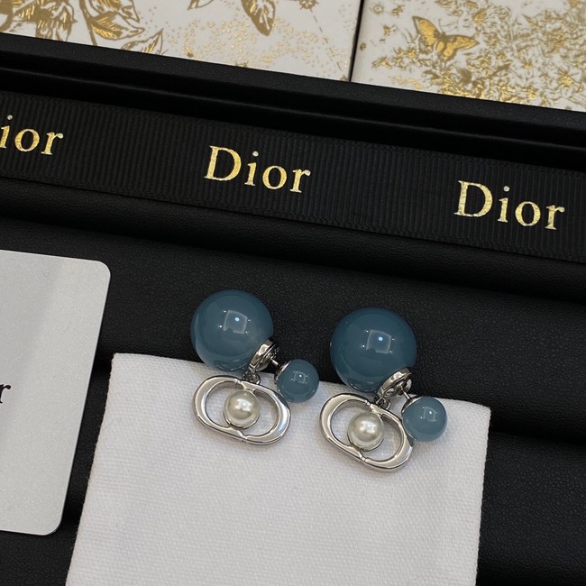 Dior Earrings CE14065