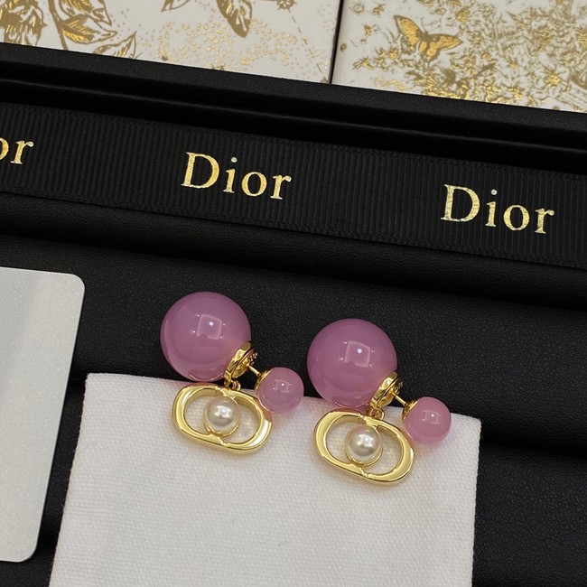 Dior Earrings CE14066
